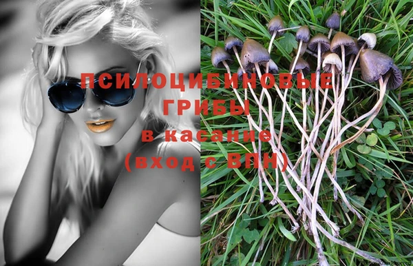 наркотики Новозыбков