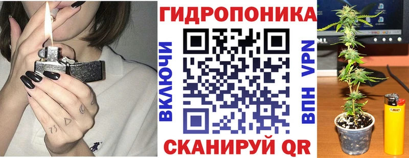 дарнет шоп  Куса  Марихуана конопля 